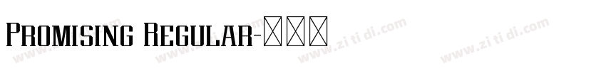 Promising Regular字体转换 Promising Regular字体转换